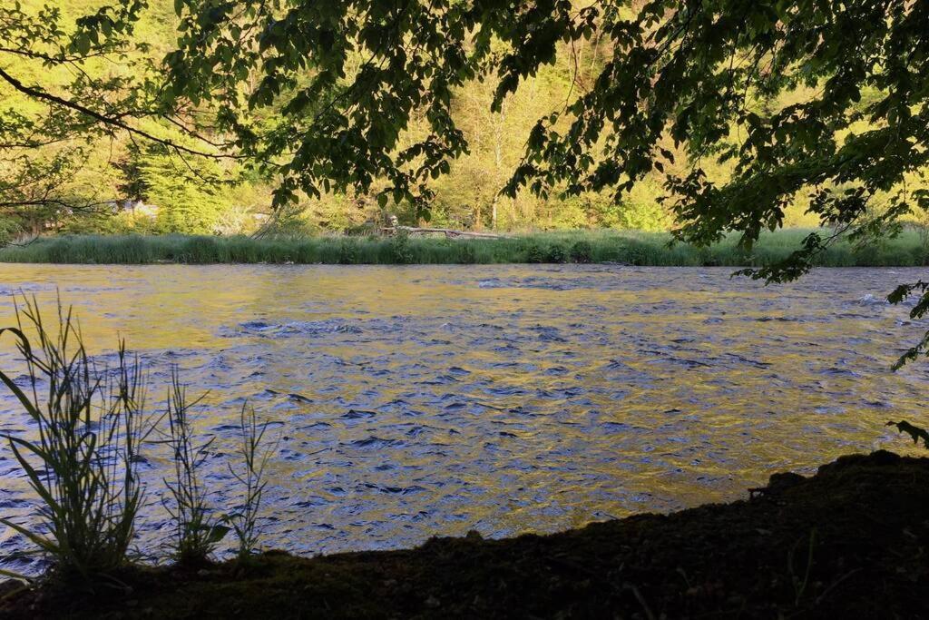 Gite Authentic Ardenne Vresse-sur-Semois Dış mekan fotoğraf