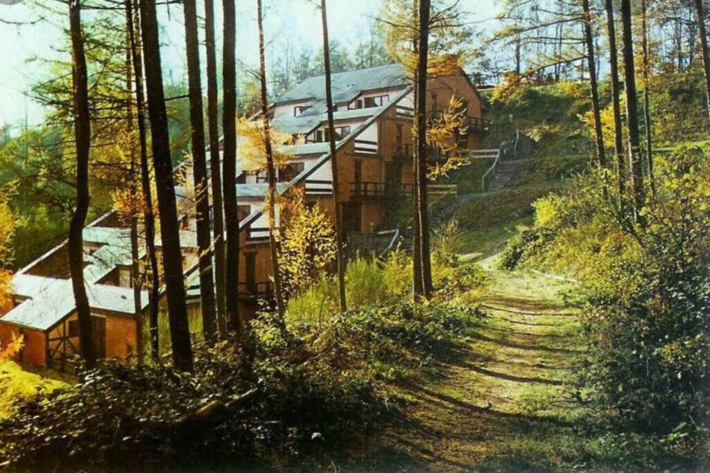Gite Authentic Ardenne Vresse-sur-Semois Dış mekan fotoğraf